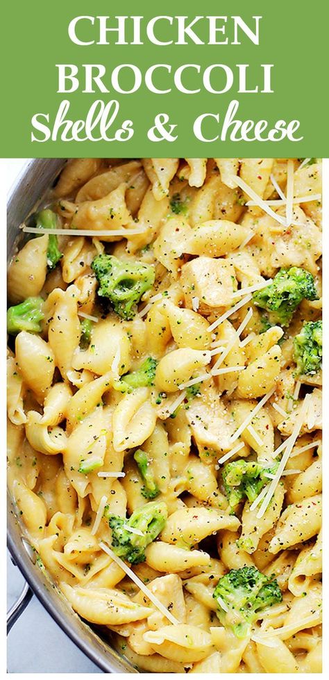 Chicken Broccoli Shells, Broccoli Shells And Cheese, Shells And Cheese Recipe, Shells And Cheese, Pasta Broccoli, Chicken Broccoli Pasta, Cooking Recipes For Dinner, Recipe Potato, Cheese Stuffed Shells