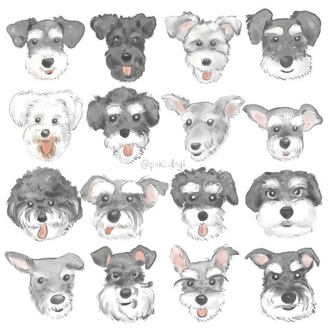 Schnauzer Drawing, Dog Illustration Art, Schnauzer Art, Dog Painting, Dog Illustration, Draw Something, Cute Easy Drawings, Dog Pattern, Animal Paintings