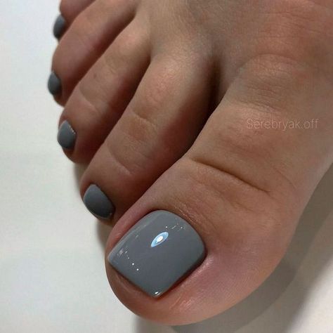 Grey Toenail Polish, January Pedicure Colors 2024, Grey Pedicure Ideas, March Toe Nail Color, Fall Pedicure Colors Toenails 2023, Grey Toenails, Gray Toe Nails, August Toenails Colors, Short Toe Nails Pedicures