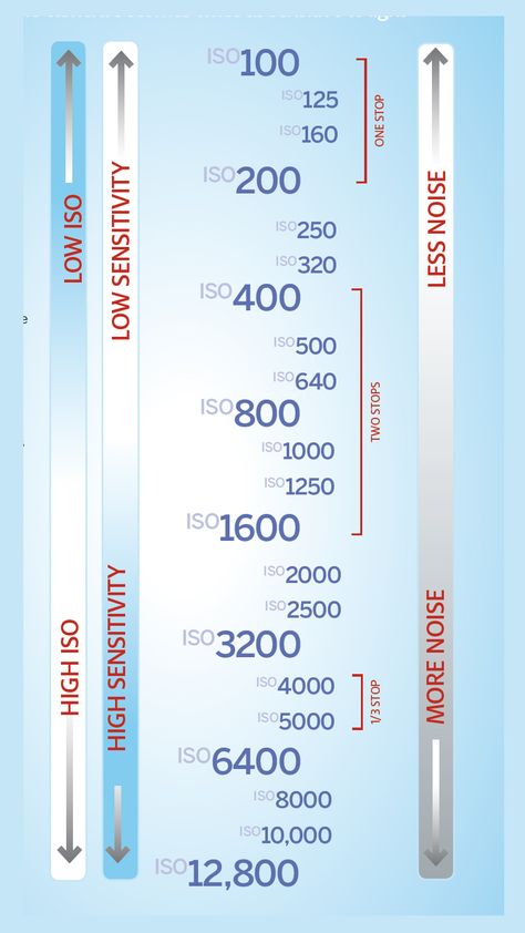 Iso Chart Photography, Iso Photography Examples, Iso In Photography, Iso Camera Settings, Iso Cheat Sheet Photography Tips, Iso Shutter Speed Aperture, Iso Photography, What Is Iso, Camera Shutter Speed