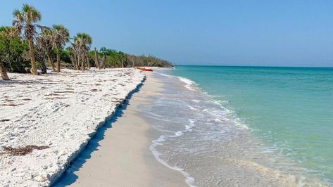 With a beach that was named the No. 2 beach in the nation by Dr. Beach in 2022, Caladesi Island State Park is a rare combination – a Florida Gulf Coast barrier island that is both remote and natural, and yet well stocked with amenities. Caladesi’s three-mile-long, undisturbed beach has been on Dr. Beach’s top 10 list for the past five years.  Unspoiled yet close at hand Florida Islands, Caladesi Island, Florida Caverns State Park, Caladesi Island State Park, Florida Gulf Coast, Honeymoon Island, Usa Florida, Florida State Parks, Underground World