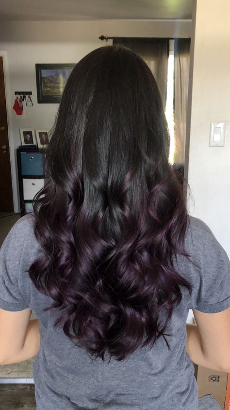 Purple Hair Dye On Black Hair, Dark Purple Almost Black Hair, Outfits That Go With Purple Hair, Dark Purple Ends Hair, Brown To Dark Purple Ombre Hair, Hair Colour Purple Dark, Dark Purple On Brown Hair, Partial Purple Hair, Dark Purple Hair Balayage