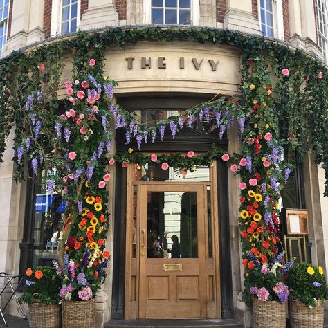 The Ivy in York. York in Bloom 2018 created by Kathrine Armstrong Bisson The Ivy, Northern Italy, Nature Aesthetic, Pretty Places, In Bloom, Places To See, Aesthetic Pictures, Perfect Place, Ivy