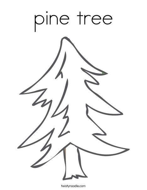 pine tree Coloring Page from TwistyNoodle.com Easy Pine Tree Drawing, Trees Coloring Pages, Color Coloring Pages, Earth Coloring Pages, Pine Tree Drawing, Solar And Lunar Eclipse, Coloring Pages Nature, Tree Coloring, Scripture Coloring