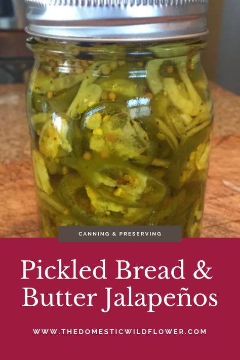 These pickled jalapeño peppers are sweet and tangy and not overly spicy. Click through for a recipe for pickled bread and butter jalapeños and a few clever techniques for keeping your sweet and sour pickles crisp and delicious. #canningpickles #pickledjalapenos #jalapenorecipes #canningforbeginners Bread And Butter Jalapenos, Canning Pickles Recipe, Pickled Jalapeno Recipe, Pickled Jalapeno Peppers, Jalapeño Peppers, Sour Pickles, Pickled Jalapeño, Canning Pickles, Spicy Pickles