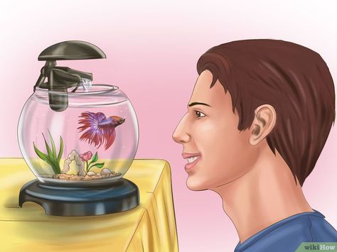 How to Grow a Bond With Your Betta Fish: 11 Steps (with Pictures) Betta Aquarium Ideas, Plants Grow In Water, Beta Tank, Log Lamp, Betta Care, Goldfish Aquarium, Tank Terrarium, Live Fish Wallpaper, Apple Kitchen