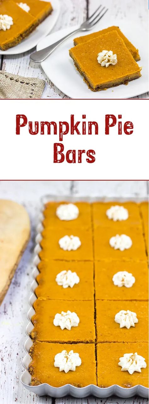 These Pumpkin Pie Bars feature a gingersnap cookie base, and they're the perfect sweet treat for Thanksgiving and holiday parties! Pumpkin Pie Bars Easy, Creamy Pumpkin Pie, Pumpkin Pie Bars Recipe, Pumpkin Yogurt, Pumpkin Swirl Cheesecake, Pumpkin Squares, Pie Bar Recipes, Gingersnap Crust, Cookie Base