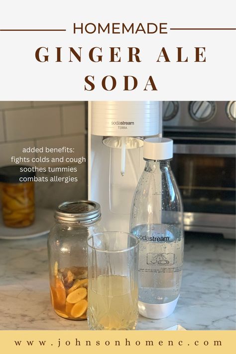 Homemade Gingerale Recipe, Homemade Ginger Ale Soda, How To Make Ginger Ale, Diy Sparkling Water, Sodastream Syrup, Soda Stream Recipes, Ginger Soda, Homemade Ginger Ale, Ginger Bug