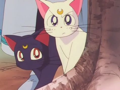 Luna and Artemis Artemis And Luna, Sailor Moon Quotes, Sailor Moon Cat, Sailor Moon Screencaps, Luna And Artemis, Sailor Moon Luna, 90 Anime, Breaking Barriers, Sailor Moon Usagi