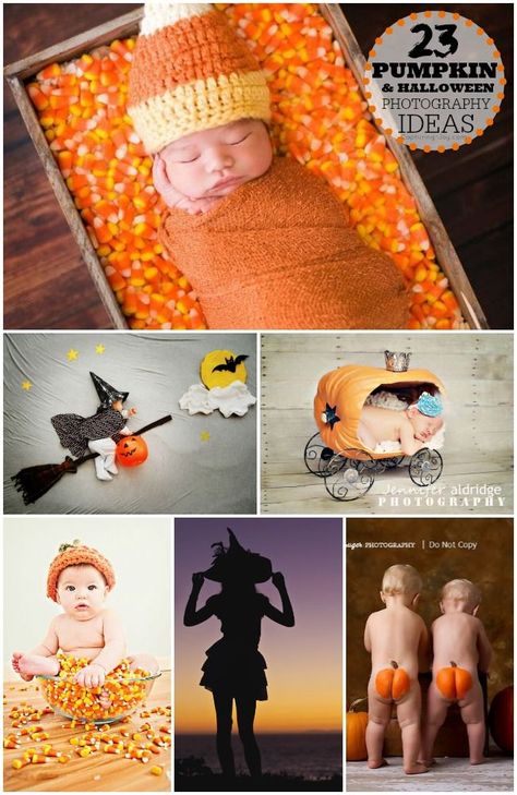 Taking Halloween Pictures, ideas for fun with kids and babies. Pumpkin Photography, Duke Photography, Photo Halloween, Baby Fotografie, Halloween Memes, Halloween Photography, Holiday Photography, Foto Tips, Creative Pictures