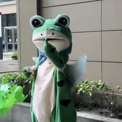 Frog Mask, Meme Costume, Frog Costume, Vampire Clothes, Frog Meme, Frog Crafts, Just You And Me, Funny Frogs, Just For Laughs Videos