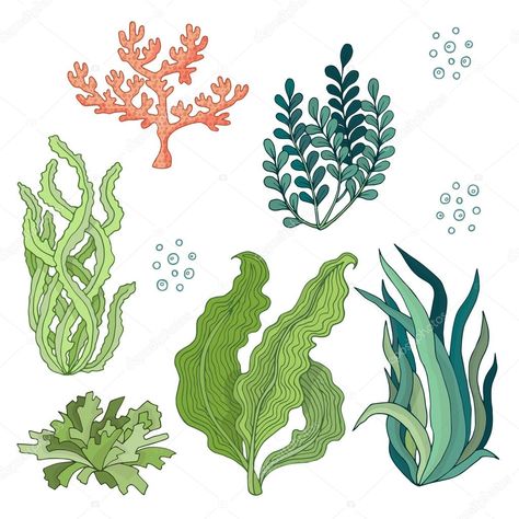 e Watercolor Seaweed, Coral Drawing, Underwater Plants, Underwater Painting, Sea Plants, Coral Art, Sea Life Art, Plant Drawing, Sea And Ocean