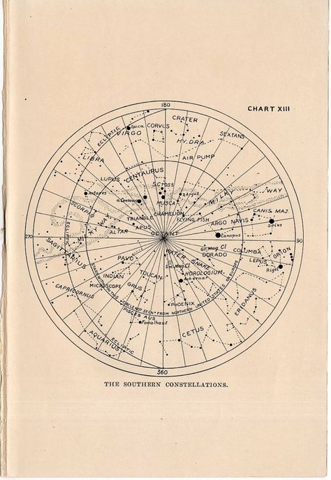 TITLE : the southern constellations    ORIGIN : new york & london    DATE : 1908    TECHNIQUE : lithograph    MEASUREMENT : approx. 7.75 x 5 Star Map Constellations, Vintage Astronomy Prints, Antique Astronomy Prints, Zodiac Things, Celestial Print, Nautical Star, Constellation Map, Element Symbols, Astronomy Art