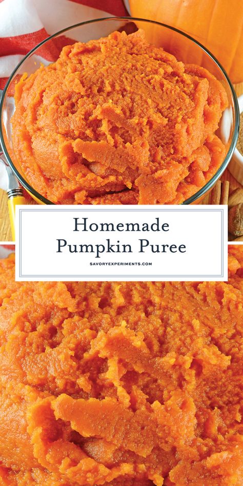 Make some Homemade Pumpkin Puree using one ingredient: pumpkin! Learn about the pie pumpkin and find pumpkin recipes to use your pumpkin puree in! #pumpkinpureerecipes #howtomakepumpkinpuree www.savoryexperiments.com Make Pumpkin Puree, Pumpkin Puree Recipes, Bread Healthy, Pumpkin Sugar Cookies, Pumpkin Loaf, Recipe Pumpkin, Cooking Pumpkin, Pie Pumpkin, Homemade Pumpkin Pie