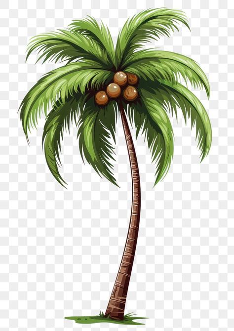 Coconut Tree Vector Illustration, Coconut Tree Illustration, Coconut Tree Png, Coconut Tree Drawing, Tree Vector Png, Coconut Plant, Palm Tree Illustration, Tree Vector Illustration, Palm Tree Png