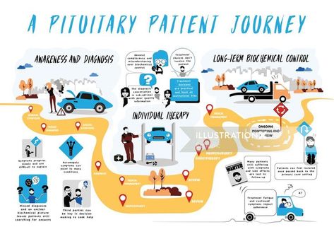 Infographic of A Pituitary Patient Journey Journey Illustration, Customer Experience Mapping, Experience Map, Illustration Infographic, Journey Map, Visual Map, Customer Journey Mapping, Gfx Design, Journey Mapping