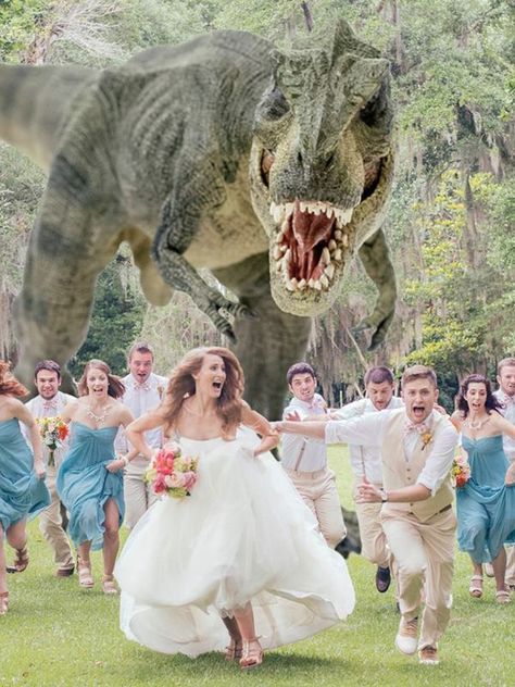 the most hilarious wedding photos to have in your wedding day Dinosaur Wedding, Funny Wedding Photos, Boda Mexicana, Photo Couple, Wedding Humor, Wedding Pics, Fun Wedding, Wedding Bells, Wedding Pictures