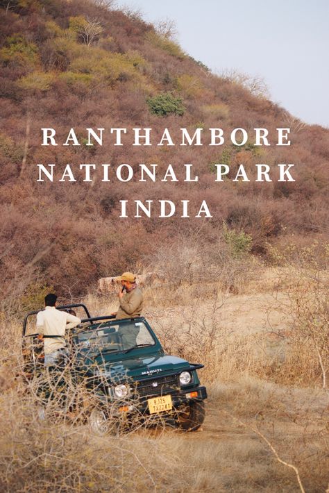 Ranthambore National Park - India - Tiger Safari - Experience - Travel - Wanderlust - Wildlife - Tigers - Nature - Adventure - Asia - Things to Do - Travel Guide - Tips - Diary Sun Meets Moon, National Parks In India List, Gap Year Ideas, Indian Jungle, India Train Travel, Golden Triangle India, Tiger Safari India, Wildlife Sanctuary India Map, Ranthambore National Park