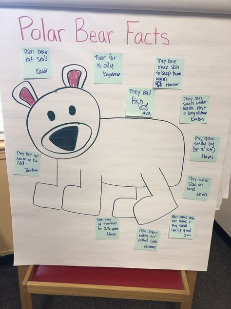 Polar bear facts anchor chart for pre-k Artic Animal Pre K Activities, Polar Bear Crafts Preschool, Polar Bear Preschool, Polar Bear Activities For Kindergarten, Polar Bear Preschool Activities, Artic Animal Activities For Preschool, Preschool Polar Bear Crafts, Polar Bear Theme Preschool, P For Polar Bear Craft