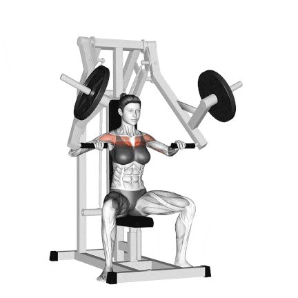 Machine Incline Chest Press Chest Press Machine Workouts, Incline Press Machine, Inclined Chest Press, Incline Chest Press Machine, Incline Chest Press, Chest Press Machine, Pectoralis Major, Shoulder Strain, Workout Gym Routine