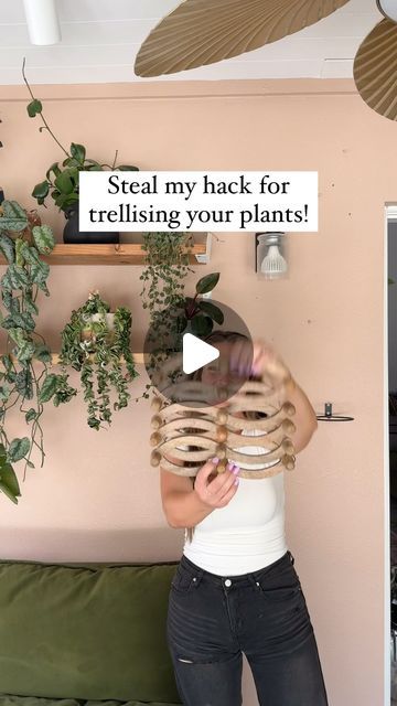 Chantel Gray | 🪴 Plants + DIY on Instagram: "Dust off your old coat hangers, fronds and use them as a plant trellis!  Here’s the link deets and where you can find everything! Or comment “growing on me” and I can DM you everything!!  Coat hanger - from @worldmarket if you want Amazon alternatives, they’re linked in my bio under “plant essentials”  Wall pot holder - linked in my bio under “plant essentials”!  Hanging catch tray for watering - linked in my bio under “CGH Hanging Catch Trays”! Or go to “channygrayhome.com” ☺️  Hope you create your own version of this!! Follow for more houseplant tips and inspo on your jungle journey!  Thoughts?!  xo - Chantel" Pathos Plant Trellis, Hanging Plants In Shower Ideas, Diy Plant Trellis Indoor, Plant Wall Shelf Ideas, Plant Essentials, Plant Wall Hanger, Plant Aesthetics, Wall Plants Indoor, Living Wall Indoor