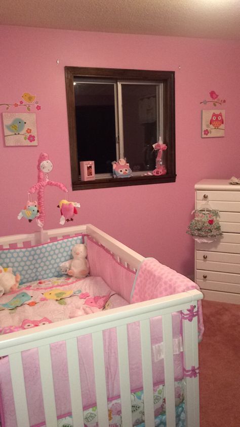 Owl nursery for baby girl. Baby Room Ideas Colorful, Baby Girl Crib, Owl Nursery, Baby Room Themes, Cute Room Ideas, Anime Baby, Baby Cribs, Baby Room Decor, Vintage Baby