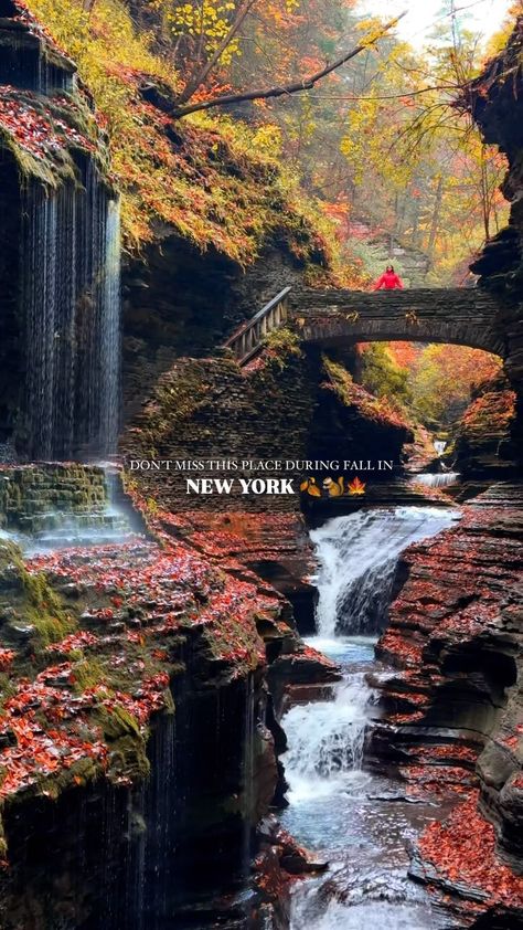 Sunetra ⋒ New York ✈Travel Content Creator ☾ | 🍁October in Watkins Glens, NY⁠⤵️⁠ ⁠ New York’s prettiest state park, Watkins Glen State Park, is nestled in the heart of the Finger Lakes… | Instagram Glen Watkins State Park, New York Countryside, 2025 Prayer, Watkins Glen Ny, Finger Lakes Ny, Watkins Glen State Park, Usa Trip, The Finger Lakes, Kingston Ny