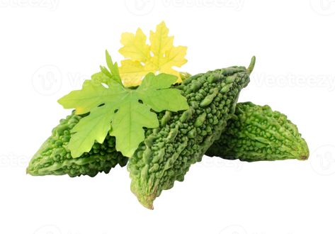 Bitter melon, Bitter gourd on white background. with clipping path Bitter Melon, Bitter Gourd, All About Plants, Gourds, Bitter, Melon, Free Png, Plant Leaves, Transparent Background