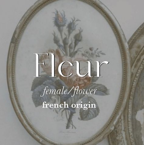 French Name With Meaning, Vintage Female Names, French Surnames For Characters, French Female Names, French Names Female Aesthetic, French Names Female, Old Fashioned Female Names, French Last Names, French Baby Names Girls