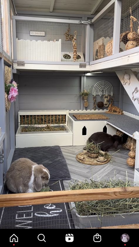 Bunny Runs Indoor, Bunny Outdoor Cage, Diy Bunny House Indoor Rabbit, Luxury Rabbit House, C&c Rabbit Cage Ideas, Outside Bunny House, Bunny Habitats Indoor, Giant Rabbit Enclosure, Two Story Bunny Cage