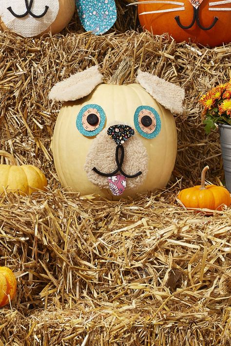 fall diy craft decorations pumpkins decorated like ranch animals Dog Pumpkin Decorating Ideas, Dog Pumpkin Decorating, Dog Pumpkin Painting, Pumpkin Animals, Pumpkins Decorated, Ranch Animals, Decorated Pumpkin, White Pumpkin Decor, Decoupage Pumpkins