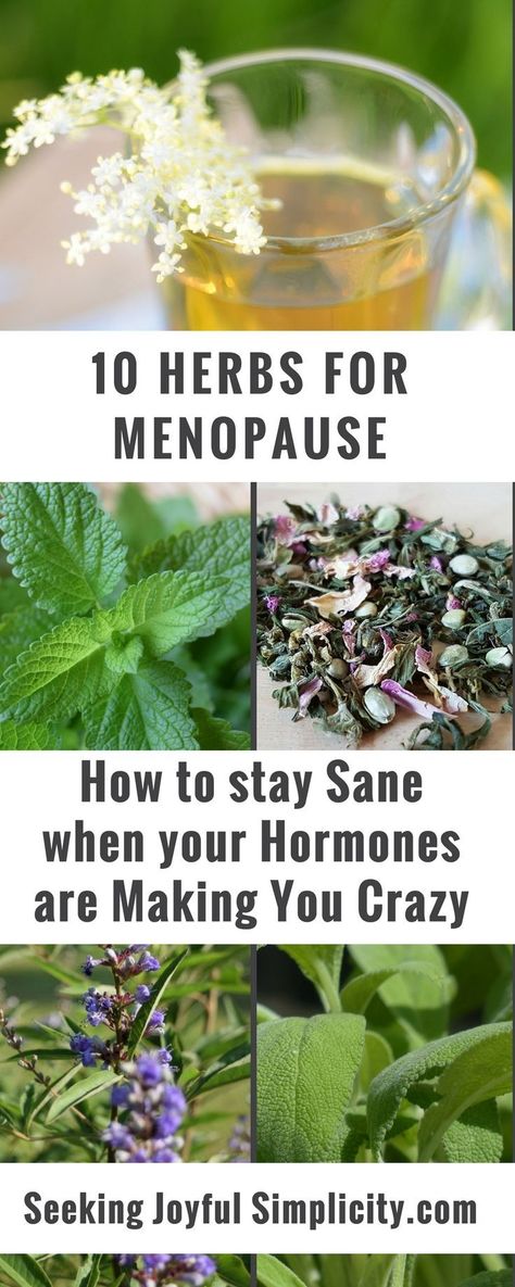 The best herbs for menopause - how to stay sane when your hormones are making you crazy. Herbs for menopause have a long history of use in supporting women’s health and they can offer us relief, bring balance, and support deep healing. Check out these 10 Ancient Remedies, Common Knowledge, Deep Healing, Stay Sane, Herbs For Health, Natural Health Remedies, Healing Herbs, Natural Home Remedies, Medicinal Herbs