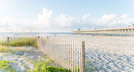 Folly Beach Sc, Charleston Travel, Folly Beach, Conde Nast Traveler, Types Of Photography, Free Things To Do, Free Things, Beach Town, Aerial Photography