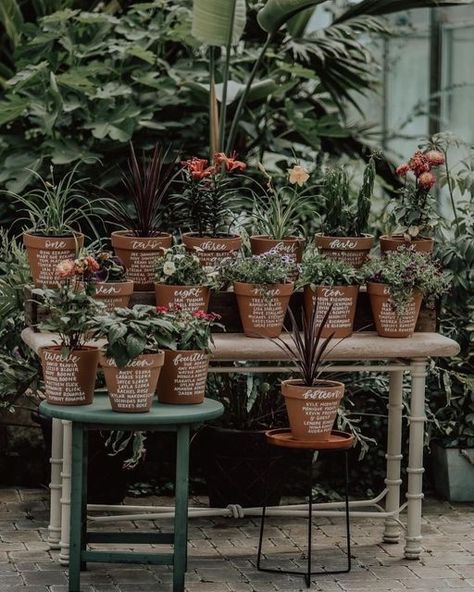 Terracotta Wedding Signage, Terracotta Pot Seating Chart, Wedding Terracotta Pots, Potted Plant Seating Chart, Flower Pot Seating Chart, Terracotta Pot Wedding, Terracotta Pots Wedding, Kumquat Wedding, Spring Wedding Table Decor