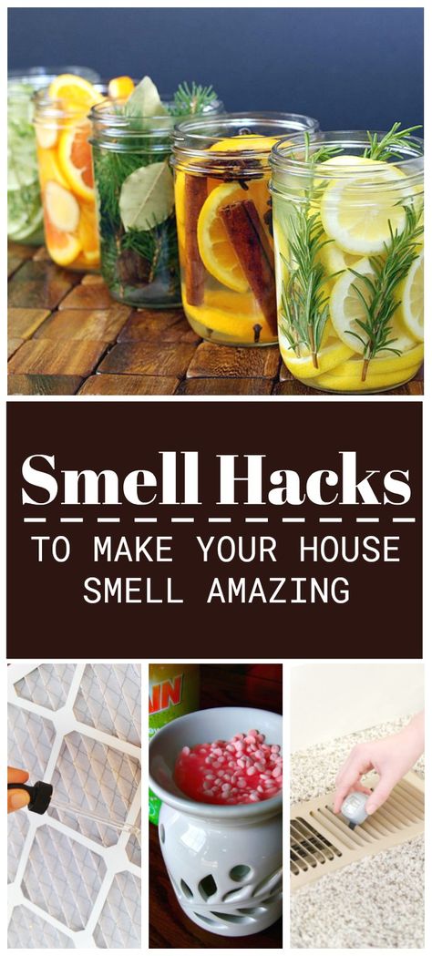 10 Ways to Make Your House Smell Good - I heart these 10 smell hacks to remove bad odors and fill the home with good smells. Natural Smells For Home, Get Rid Of Food Smell In House, Get Rid Of Odor In House, How To Get Rid Of Bad Smell In House, How To Get Rid Of Food Smell In House, Make House Smell Good, House Smells Bad, Natural Hacks, Make Your House Smell Good