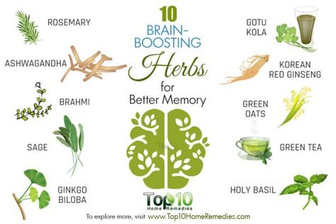 brain boosting herbs for boosting memory Energy Boosting Herbs, Mood Boosting Herbs, Herbs For The Brain, Herbs For Memory And Focus, Herbs For Memory, Herbs To Help With Memory, Brain Boosting Herbs, Teas For Brain Health, Herbs For Brain Health