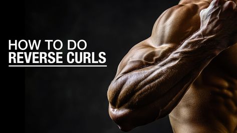 How To Do Reverse Curls | ATHLEAN-X Push Pull Legs Routine, Bcaa Supplement, Reverse Curls, Leg Routine, Push Pull Legs, Gifted Program, Pro Athletes, Triceps Workout, Back And Biceps