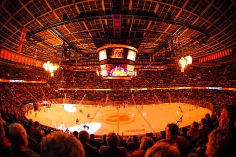 Sea of Red Scotiabank Sattledome Calgary, Alberta, Canada .... Calgary Flames. Calgary Flames Hockey, Canada Calgary, Michigan Hockey, Nhl Hockey Teams, Calgary Alberta Canada, Ice Hockey Teams, Hockey Games, Calgary Flames, Calgary Alberta