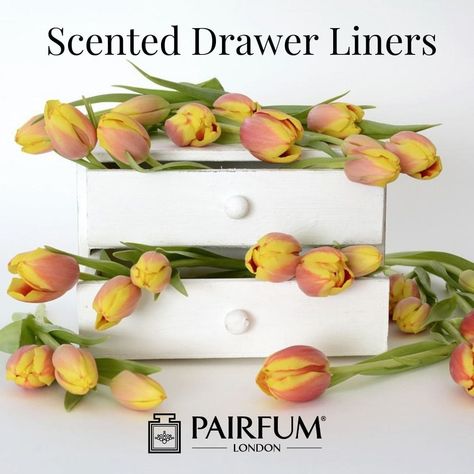 How to make your own Scented Drawer Liner

Why Should You Create Your Own Scented...

See more here:
https://www.pairfum.com

#artisan #authentic #beautiful #blogger #boutique #drawerliner #gift #giftideas #holidaydecor #indie #Interiordesign #London #londonfashion #Love #Natural #niche #Organic #original #paper #Parfum #peace #perfume #real #sachet #scent #shoppingonline #unique #Vegan Scented Drawer Liners Diy, Homemade Drawers, Diy Drawer Liners, Scented Drawer Liner, Diy Fragrance, Diy Scent, Cinnamon Oil, Diy Drawers, Shelf Liner