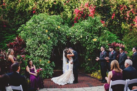 Sunken Gardens Wedding, Sunken Gardens, St Pete Wedding, Never Getting Married, Garden Ceremony, Sunken Garden, Wedding Of The Year, Romantic Wedding Photos, St Petersburg Fl