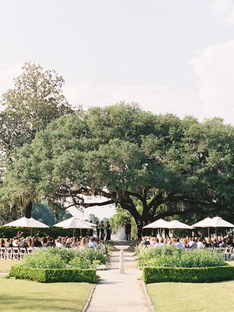 Middleton Place Charleston, Middleton Place Wedding, Truck Full Of Flowers, Kiawah Wedding, Wedding South Carolina, Brick Wedding, Charleston South Carolina Wedding, Charleston Gardens, Friday Wedding