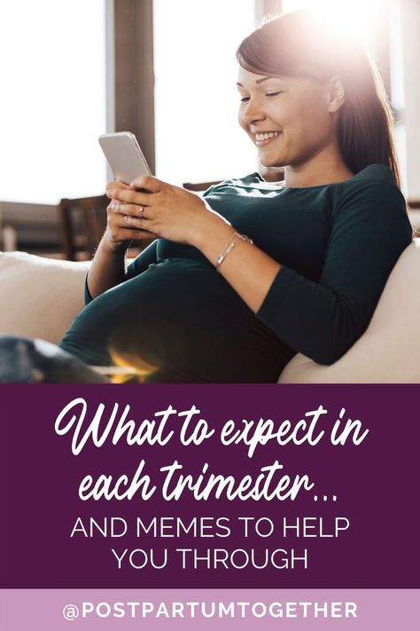 Best memes for each trimester of pregnancy. Laugh while learning what to expect in the first trimester, second trimester and third trimester. Great memes to share with your partner, friends, or family to tell them how you're feeling. Funny memes you can enjoy through your pregnancy. Click to see them all and share with a friend! Postpartum Preparation, Third Trimester Checklist, Pregnancy Memes, Pregnancy Body, All About Pregnancy, Pregnancy Support, Postpartum Doula, Pregnancy Advice, Birth Doula