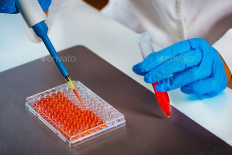 Cell Culture Lab, Biotechnology Laboratory, Cell Culture, Laboratory Technician, Teaching Biology, Molecular Biology, Lab Equipment, Biotechnology, Print Designs Inspiration