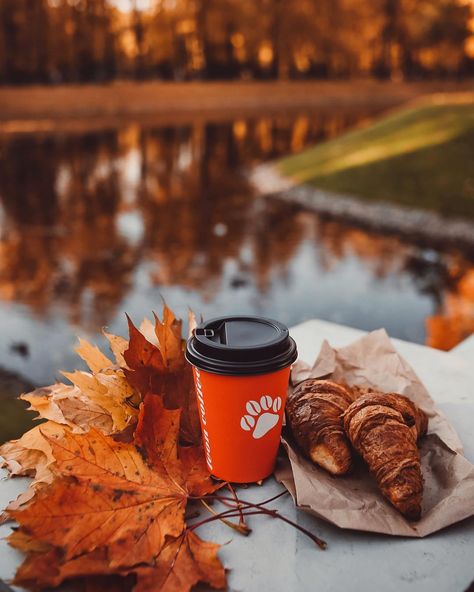 Days Until Halloween, Fall Mood Board, Fall Inspo, Fall Feels, Fall Pictures, Autumn Cozy, Autumn Aesthetic, Fall Wallpaper, Autumn Photography