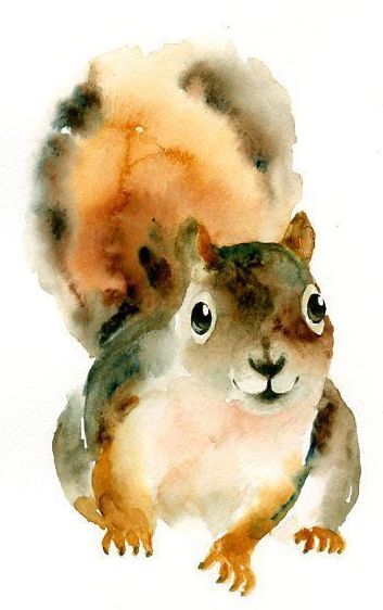 Animals Watercolor, Charcoal Drawings, 강아지 그림, A Squirrel, Alphonse Mucha, Art Et Illustration, Watercolor Inspiration, Art And Illustration, Watercolor Texture