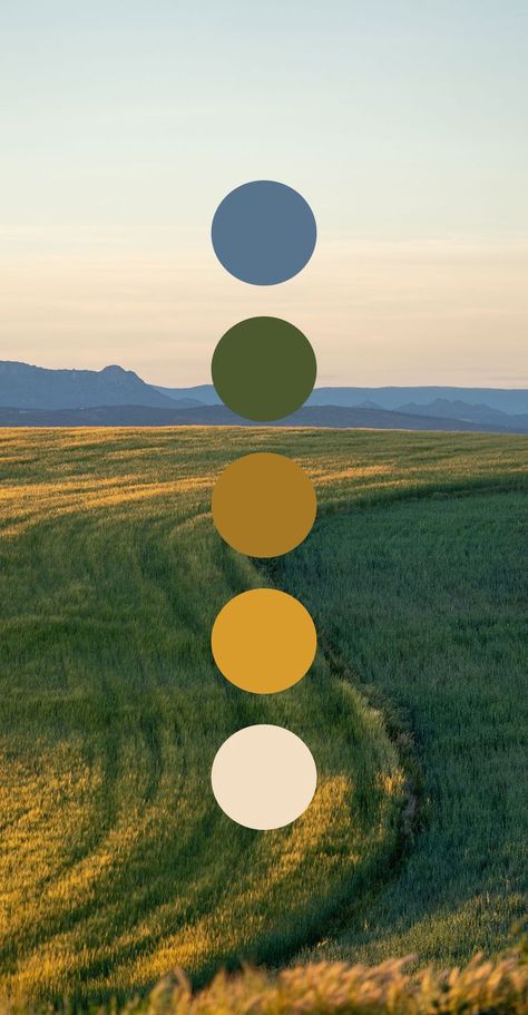 Farm Color Pallete, Homestead Color Palette, Midwest Color Palette, Community Color Palette, Pathway Graphic Design, Sustainable Colour Palette, Hiking Color Palette, Logo Color Pallete, Oregon Color Palette