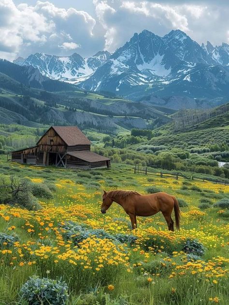 Ranching Life, Cottage Ranch, Country Scenery, Swiss Mountains, Country Romance, Country Photography, Southern Life, Horse Aesthetic, Horse Ranch