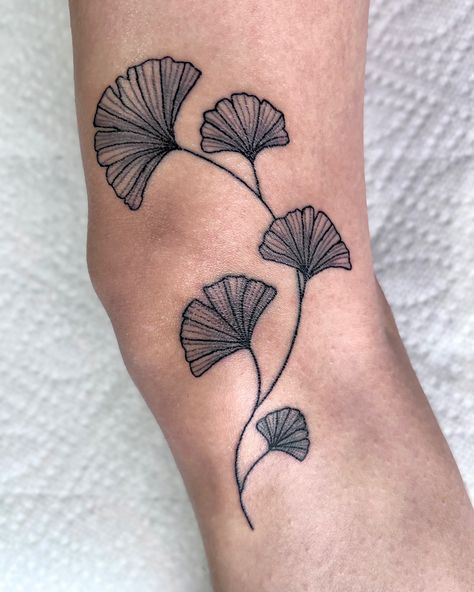 tattoo ideas leaves vines ginkgo tree cute aesthetic line work minimalistic nature flower knee tattoos ink black and white girly artist art design skin leg tat simple flash sheet tattooing needle 5rl small lines Ginko Leaf Tattoos Traditional, Skeleton Leaf Tattoo, Fiddle Leaf Tattoo, Simple Flash Sheet, Ginkgo Leaf Tattoo, Over The Knee Tattoo, Knee Tattoo Ideas, Hopeless Romantic Tattoo, Beloved Tattoo