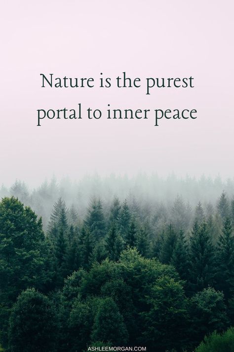 Save Nature Quotes, Natural Healing Quotes, Thoughts In English, Nature Quotes Beautiful, Nature Captions, Forest Quotes, Nature Quotes Inspirational, Nature Photography Quotes, Earth Quotes