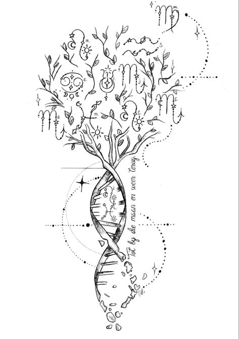 Zodiac star signs DNA family tree tattoo designs nature tree Family Tree Of Life Tattoo, Tree Of Like Back Tattoo, Family Tree Spine Tattoo, Family Spine Tattoos For Women, Dna Family Tree Tattoo, Constilation Tattoo Back, Tattoos With Family Meaning, Dna Family Tattoo, Family Representation Tattoos